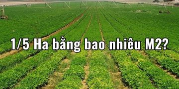 1/5 Ha bằng bao nhiêu m2 ? Quy đổi Hecta sang Km2, m2, dm2, mm2