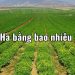 1/5 Ha bằng bao nhiêu m2 ? Quy đổi Hecta sang Km2, m2, dm2, mm2