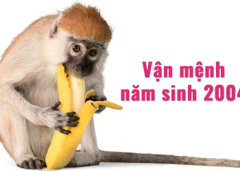 2004 bao nhiêu tuổi? Tuổi con gì? Vận mệnh sinh năm 2004
