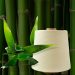 Khăn giấy than tre là gì? Quy trình sản xuất giấy than tre