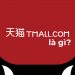Tmall là gì? Cách order hàng trên Tmall ship về Việt Nam