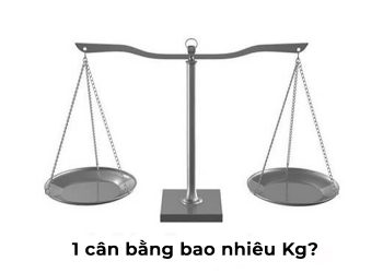 1 Cân bằng bao nhiêu Kg - 1Kg bằng bao nhiêu Gam, Tấn, Tạ, Yến