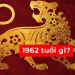 1962 tuổi gì? Vận mạng người tuổi Nhâm Dần sinh năm 62
