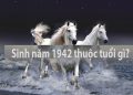 42 tuổi gì? - Xem tử vi tuổi nhâm ngọ nam mạng sinh năm 1942