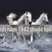 42 tuổi gì? - Xem tử vi tuổi nhâm ngọ nam mạng sinh năm 1942