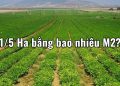 1/5 Ha bằng bao nhiêu m2 ? Quy đổi Hecta sang Km2, m2, dm2, mm2