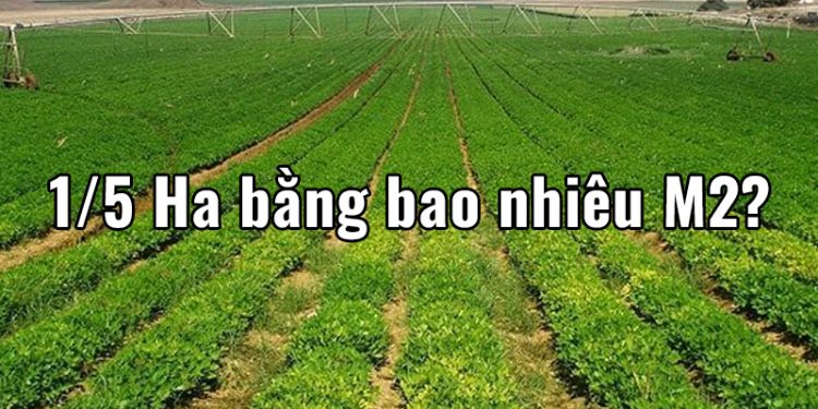 1/5 Ha bằng bao nhiêu m2 ? Quy đổi Hecta sang Km2, m2, dm2, mm2