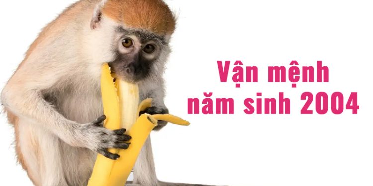 2004 bao nhiêu tuổi? Tuổi con gì? Vận mệnh sinh năm 2004