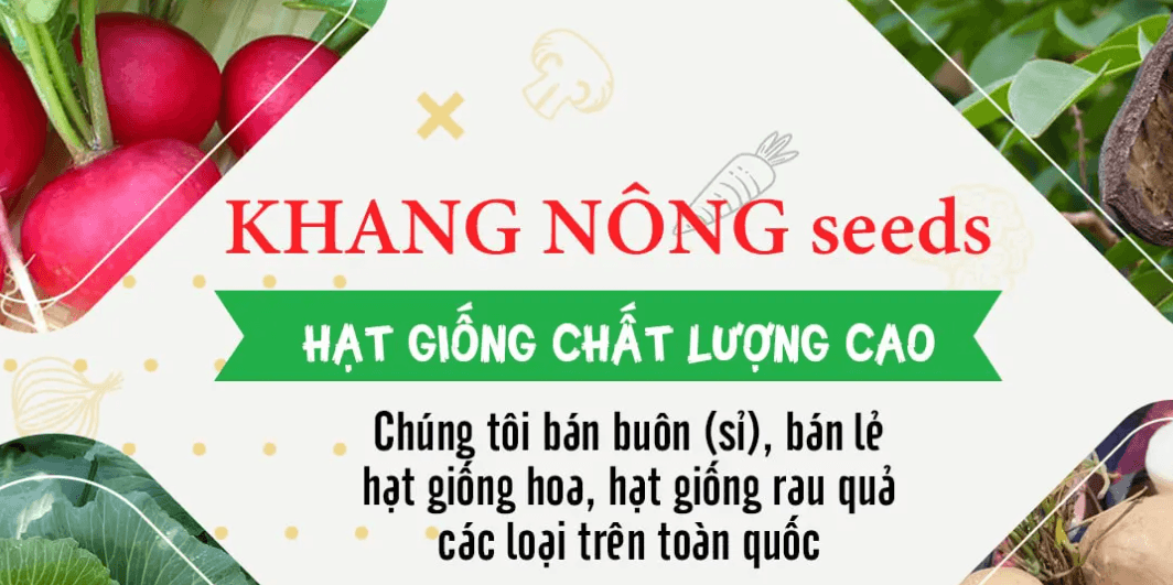 Khang Nông