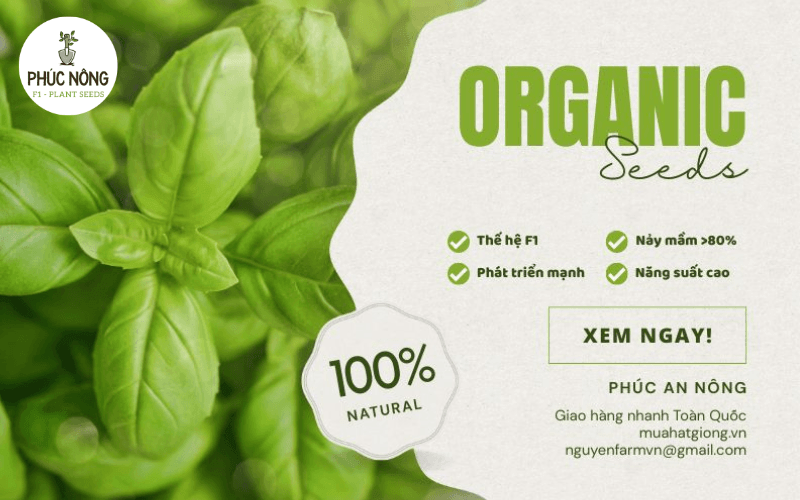 Phúc An Nông - Nguồn sỉ hạt giống giá tốt