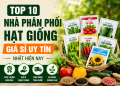 Top 10 Nhà Phân Phối Hạt Giống Giá Sỉ Uy Tín Nhất Hiện Nay