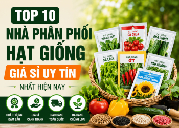Top 10 Nhà Phân Phối Hạt Giống Giá Sỉ Uy Tín Nhất Hiện Nay