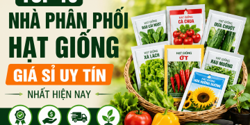 Top 10 Nhà Phân Phối Hạt Giống Giá Sỉ Uy Tín Nhất Hiện Nay